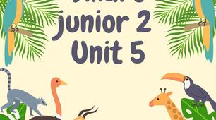 Smart junior 2 Unit 5