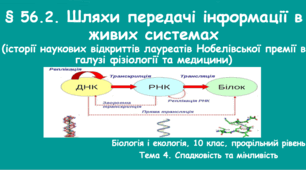 Шляхи передачі інформації в живих системах (історії наукових відкриттів лауреатів Нобелівської премії в галузі фізіології та медицини), 10 клас, профільний рівень