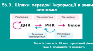Шляхи передачі інформації в живих системах, 10 клас, профільний рівень