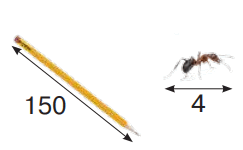 0900ts0f-3482-243x150.png