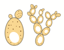 0900ts8l-ab56-226x176.png