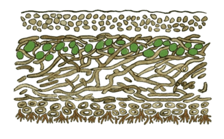0900ts97-1033-327x204.png