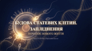 Будова статевих клітин. Запліднення