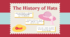 National Hat Day: Presentation & Worksheet