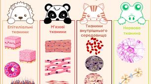 Тканини тварин