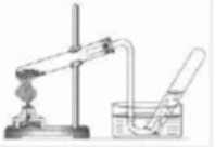0900tw9p-cbe4-198x136.png