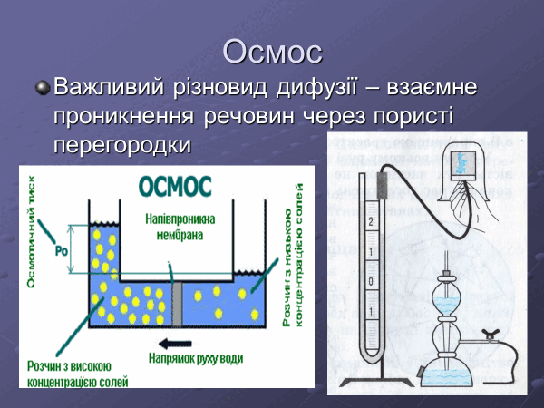 0900twj4-5194-600x450.png