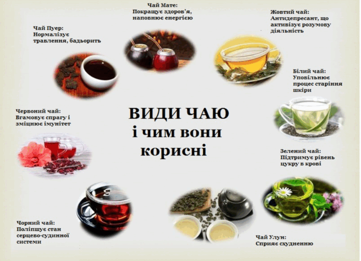 0900twjf-8497-735x532.png