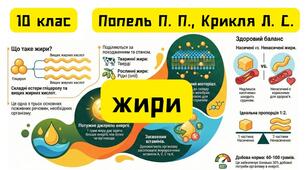 Жири