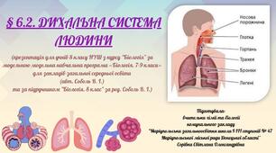 § 6.2. ДИХАЛЬНА СИСТЕМА ЛЮДИНИ