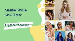 Лімфатична система, її будова та функції