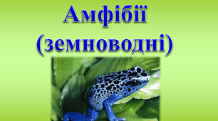 Земноводні (підготовка до НМТ)