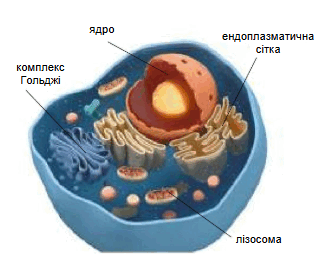 0900u66t-9c16-332x256.png