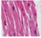 0900u67m-2e19-85x79.png