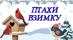 Сенсорно-пізнавальний розвиток + Мовлення дитини “Птахи взимку”