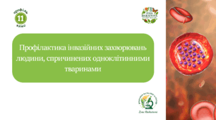 Профілактика інвазійних захворювань людини, спричинених одноклітинними тваринами