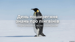 Презентація "20 січня - День поширення знань про пінгвінів"