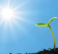 0900u8eb-2f4f-240x223.png
