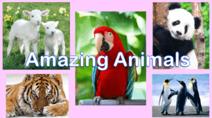 Animals. Презентація та конспект