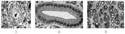 0900ubgi-a2c8-422x116.png