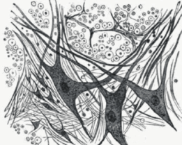 0900ubjv-3d38-261x209.png
