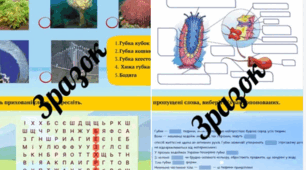 Робочі аркуші👩‍🏫 з теми «Губки» (біологія, 7 клас)