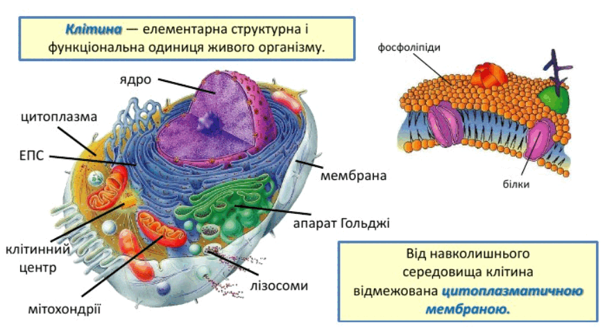 0900ue9g-a9a2-872x481.png