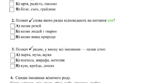 Діагностична робота з української мови для 3 класу за підручником І. Большакова, М. Пристінська з теми "Іменник".