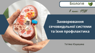 Захворювання сечовидільної системи та їхня профілактика. 8 клас. НУШ