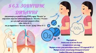§ 6.3. ЗОВНІШНЄ ДИХАННЯ