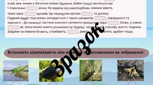 Робочі аркуші👩‍🏫 з теми «Комахи»🐝🦋 (біологія, 7 клас)