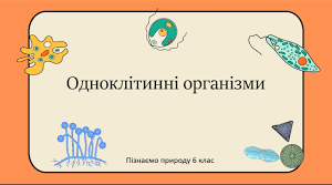 Дослідження "ПРЕДСТАВНИКИ  ОДНОКЛІТИННИХ РОСЛИН І ТВАРИНОПОДІБНИХ ОРГАНІЗМІВ"