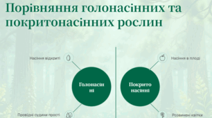 Практична робота "Порівняння голонасінних та покритонасінних рослин