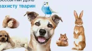 Розтяжка "День захисту тварин"