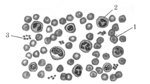 0900ur9m-315a-479x269.png