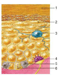 0900uu0q-5a7b-206x251.png
