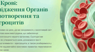 Урок "Органи кровотворення. Формені елементи крові: еритроцити. Групи крові. Правила переливання крові"