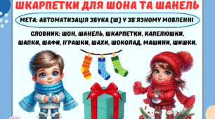 Дидактична гра "Шкарпетки для Шона та Шанель. Звук [ш]"