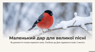 Маленький дар для великої пісні. Посібник до Дня годування птахів, 3 лютого.