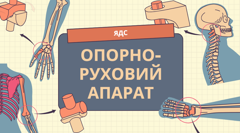 0900uz5r-2f1c-924x515.png