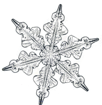 0900v02b-edae-211x217.png