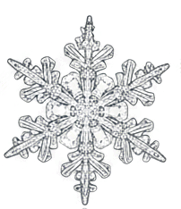 0900v02j-a5e8-202x234.png