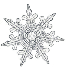 0900v032-b0cf-218x227.png