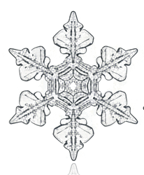 0900v03f-a260-206x250.png