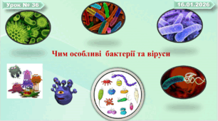 Чим особливі бактерії та віруси / Вивчаємо живу природу Землі /Пізнаємо природу/ 6 клас