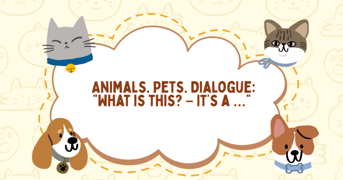 Animals. Pets. Dialogue: “What is this? – It’s a …” | Презентація ...
