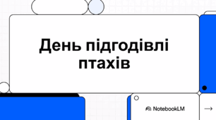 День підгодівлі птахів.