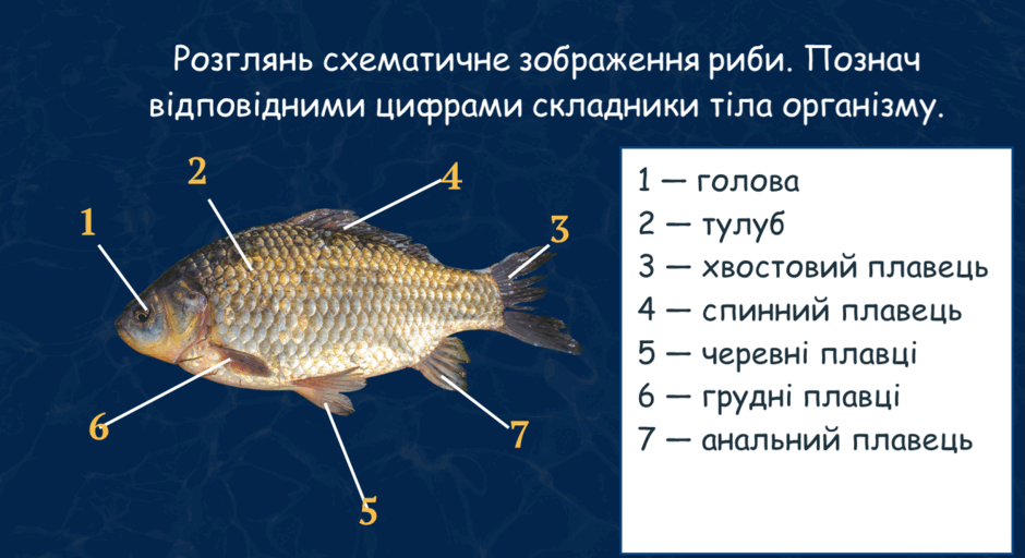 0900v7cq-965f-940x512.png