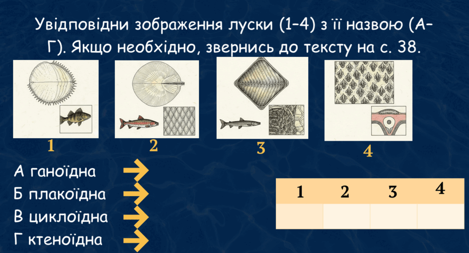 0900v7cz-61c3-940x507.png