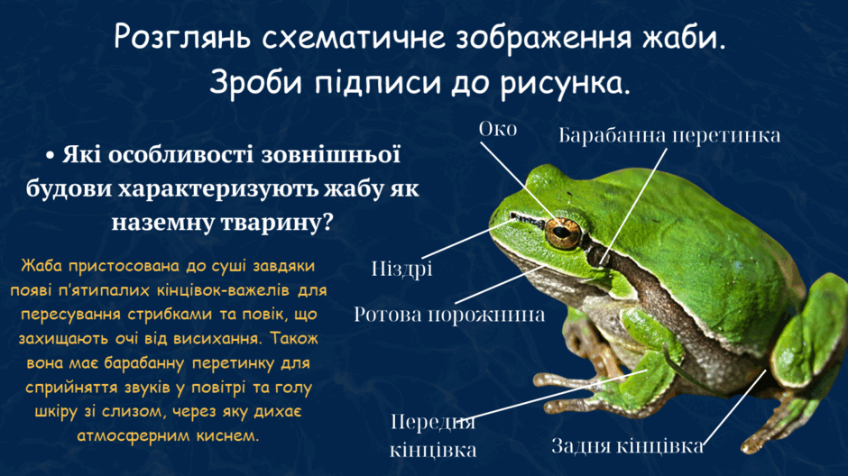 0900v7dc-869a-940x528.png
